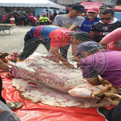 Ibadah Qurban 2026
